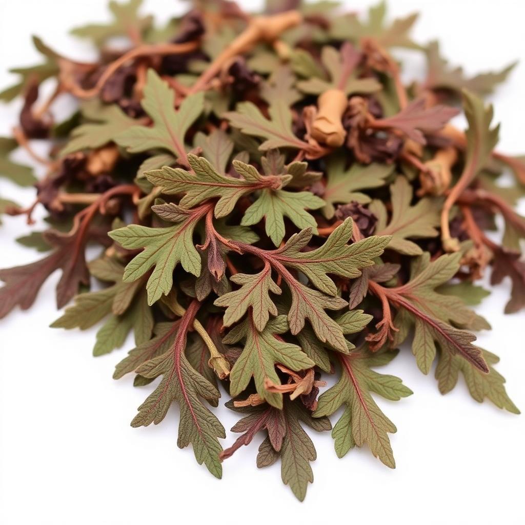 Horny Goat Weed